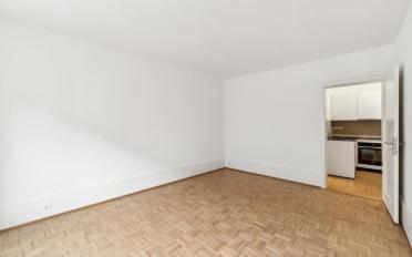 Apartment 1 room - image - 4