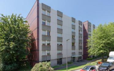 Wohnung 4.5 Zimmer - image - 1