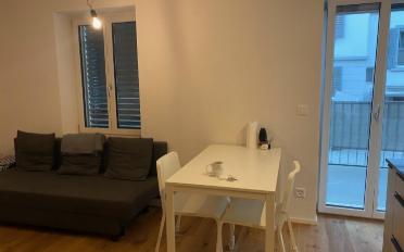 Wohnung 1.5 Zimmer - image - 4