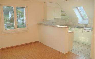 Duplex 5.5 pièces - image - 4