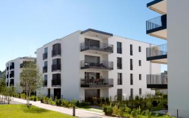 Wohnung 3.5 Zimmer - image - 1