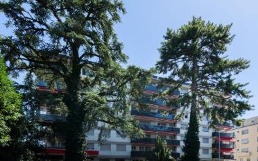 Apartment 2 rooms - image - 2
