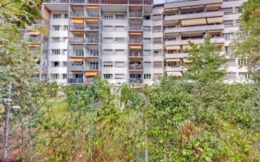Wohnung 5 Zimmer - image - 2