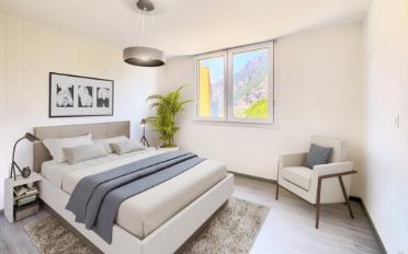 Wohnung 2.5 Zimmer - image - 3