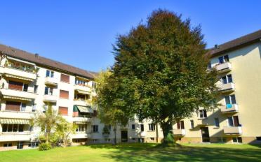 Wohnung 3 Zimmer - image - 2