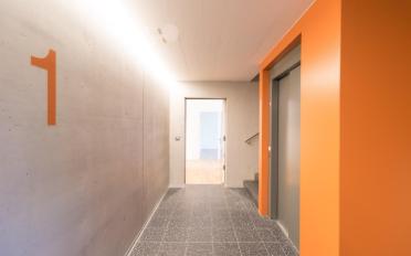Appartement 2.5 pièces - image - 2