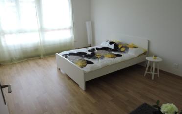 Wohnung 4.5 Zimmer - image - 4