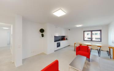 Wohnung 1.5 Zimmer - image - 1