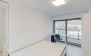 Wohnung 1.5 Zimmer - image - 10