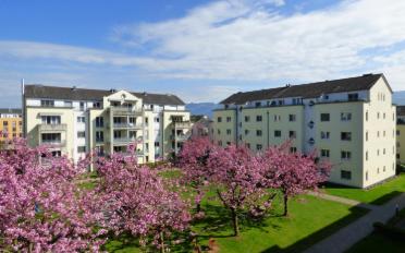 Place souterraine - image - 3