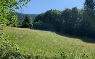 Building land - image - 2