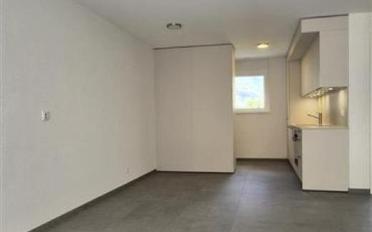 Wohnung 3.5 Zimmer - image - 4