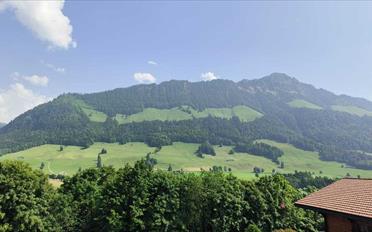Building land - image - 4
