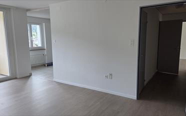 Wohnung 2.5 Zimmer - image - 6