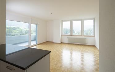 Appartement 4.5 pièces - image - 4