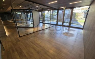 Shop - image - 3