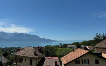 Wohnung 2.5 Zimmer - image - 3