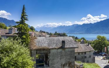 Wohnung 2.5 Zimmer - image - 2