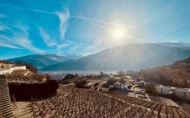 Villa 4.5 rooms - image - 2