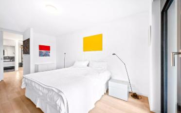 Duplex 7 pièces - image - 12