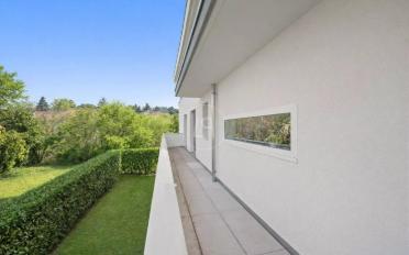 Duplex 6.5 rooms - image - 8