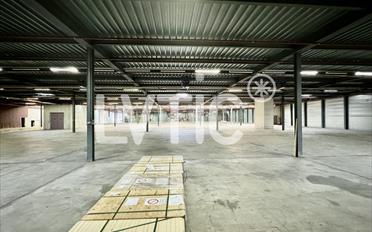 Lager - image - 4