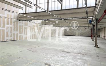 Lager - image - 2
