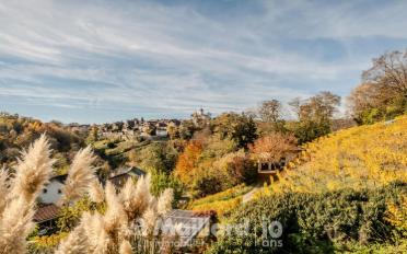 Maison 11 pièces - image - 5