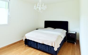 Wohnung 3.5 Zimmer - image - 5