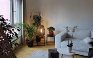 Appartement 3.5 pièces - image - 4