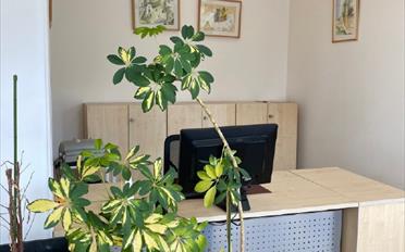 Office - image - 6