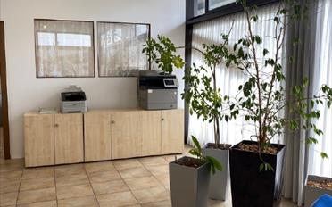 Office - image - 1