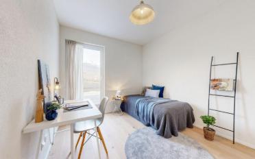Apartment 2.5 rooms - image - 9