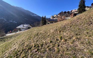 Building land - image - 2