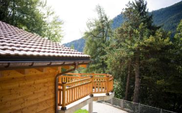 Chalet 7.5 pièces - image - 2