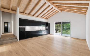 Attikawohnung 5.5 Zimmer - image - 2