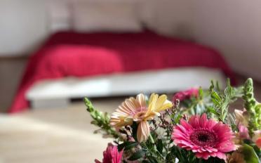 Attic flat 5.5 rooms - image - 12