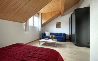 Attic flat 5.5 rooms - image - 13