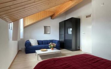 Attic flat 5.5 rooms - image - 11
