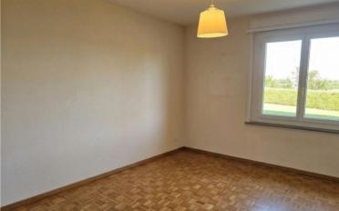 Einfamilienhaus 5.5 Zimmer - image - 9