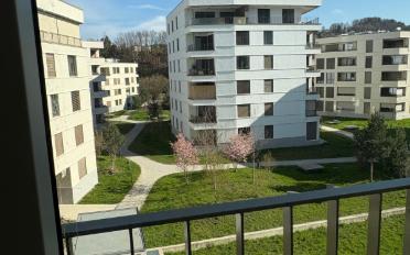 Appartement 3.5 pièces - image - 9