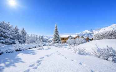 Chalet 9 rooms - image - 2