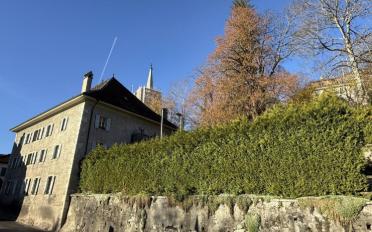 Appartement 3.5 pièces - image - 3