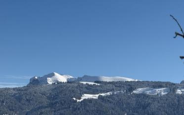 Villa 5.5 Zimmer - image - 13