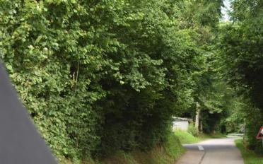 Terrassenhaus 5.5 Zimmer - image - 9