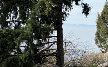 Building land - image - 5