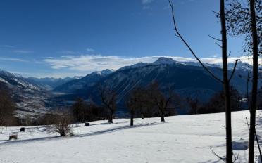 Terrassenwohnung 5.5 Zimmer - image - 10