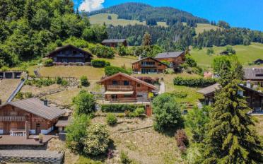 Chalet 5.5 rooms - image - 3