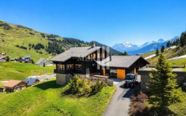 Chalet 11 Zimmer - image - 1