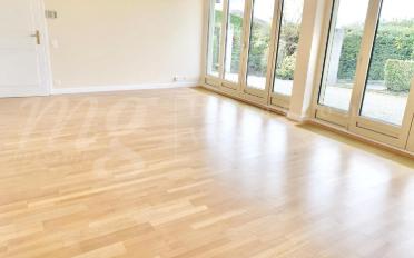 Einfamilienhaus 10 Zimmer - image - 8